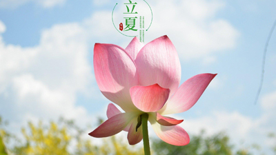 立夏养阳 重在养心