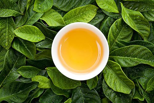 茶安全• 追踪茶叶农残问题真相